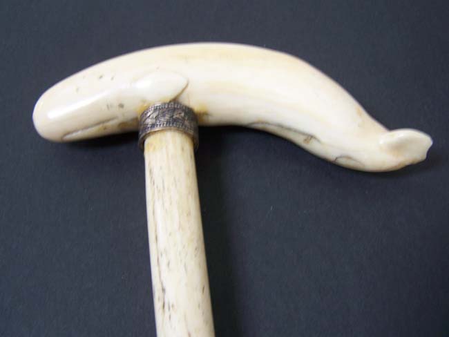 A 19th century ANTIQUE Whalebone Walking Stick with Whale Ivory Handle in the form of a Sperm Whale
